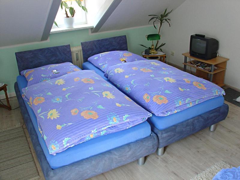 Hotel-Pension Königswald Dresden Oda fotoğraf